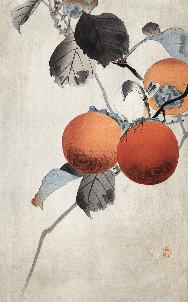 ohara koson,japanese art,japanese,japanese illustration,fruit,japanese painting,woodcut,japanese public domain,ohara,fruit paintings,shin hanga,leaf,rawpixel