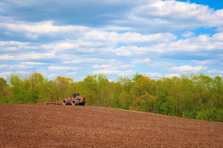 agriculture,soil,harvest,field tractor,corn harvest,tractor,farm landscape,grassland,corn plant,bulldozer,corn,farm background,rawpixel