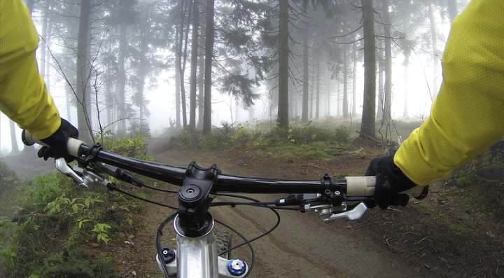 bike,mountain bike,mist,bicycle,sport,morning,public domain,hobby,road bike,cyclist,forest background,fog forest,rawpixel
