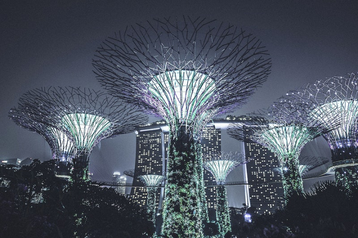city,singapore,landscape,architecture,light,night city,architecture photos,buildings,landmark,asia,garden,city life,rawpixel