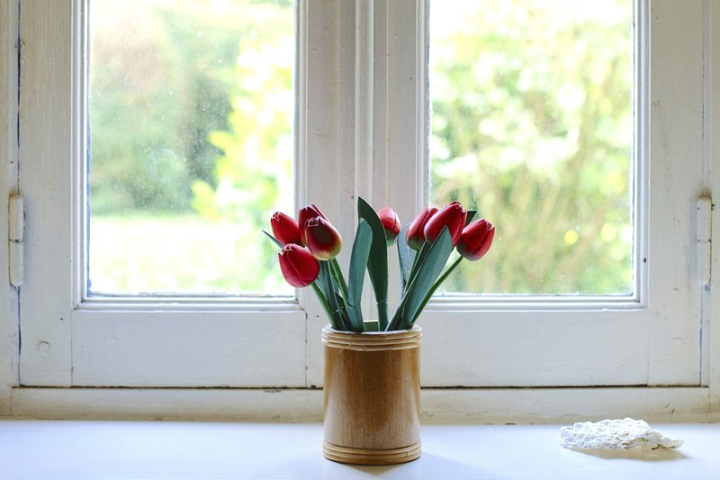 tulip,flower vase,living room background,living room,room,vase,flower photo,window background,glass,home,aesthetic backgrounds,backgrounds,rawpixel