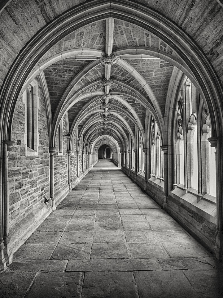 black and white,architecture,church,arch,architecture photos,black,cathedral,black and white background,black background,black and white photos,path,architecture and buildings,rawpixel