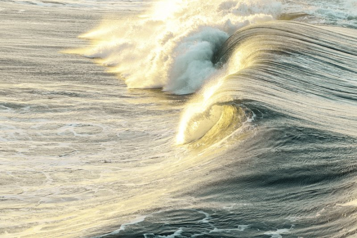 beach,ocean,sunrise,california,surf,ocean wave,wave sea,water,sea,morning,beach waves,background,rawpixel