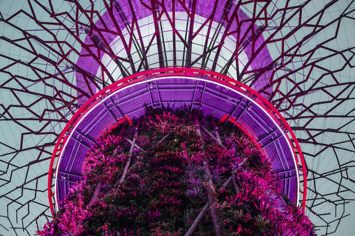 illuminated,singapore,purple,architecture photos,neon light,architecture,public domain,travel phots,pink background,light,pattern background,purple flare,rawpixel