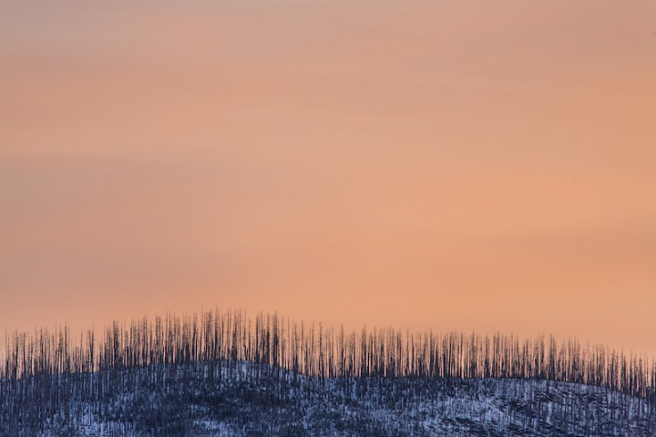 sunset,winter,sky,grass,background,scenery,montana,background image,snow,sunset sky,sunrise,forest,rawpixel