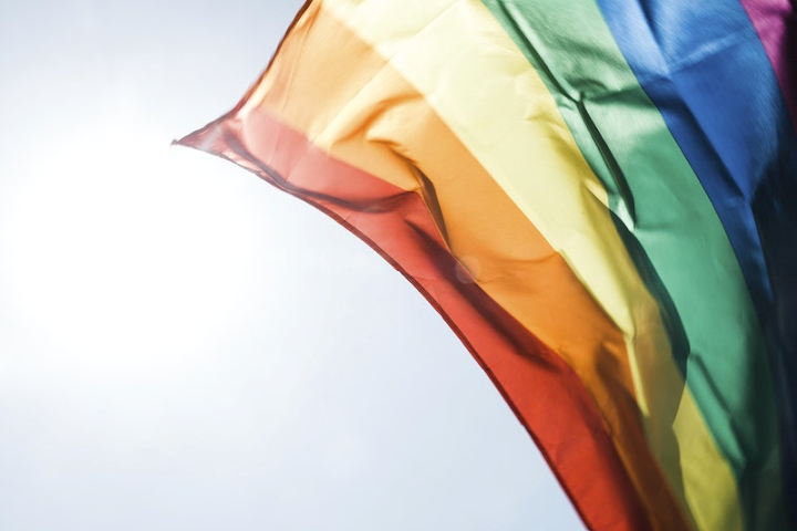 pride,rainbow,pride flag,lgbtq flag,flag,public domain lgbt,rainbow flag,background rainbow,lgbtq photos,public domain,background,creative commons,rawpixel