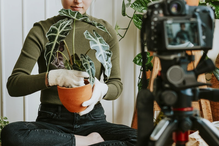 influencer,youtuber,small business,content creator,creator,potted plants,social media content,plant home,young woman influencer,young business,home garden,plants care,rawpixel