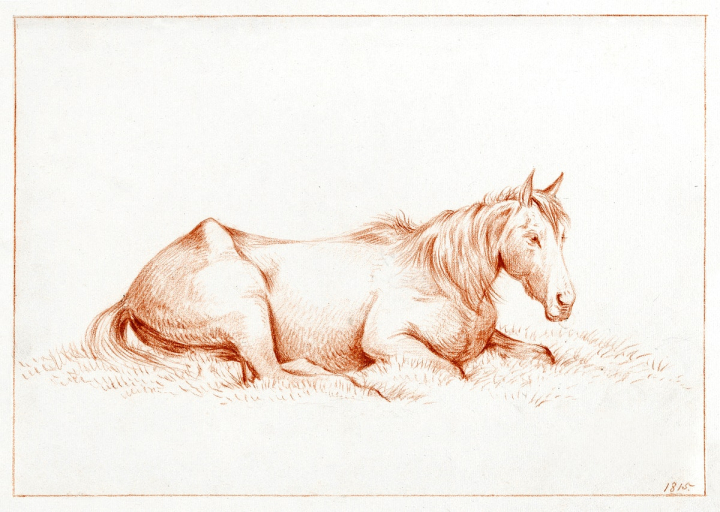 Horse Front Isolated: Over 2,470 Royalty-Free Licensable Stock  Illustrations & Drawings