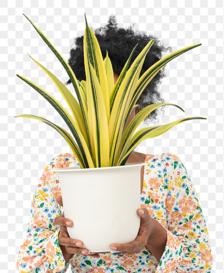 plant,african,black woman,hiding face,hide,african american,botanical,clip art,collage elements,cover,cut out,design,png,rawpixel