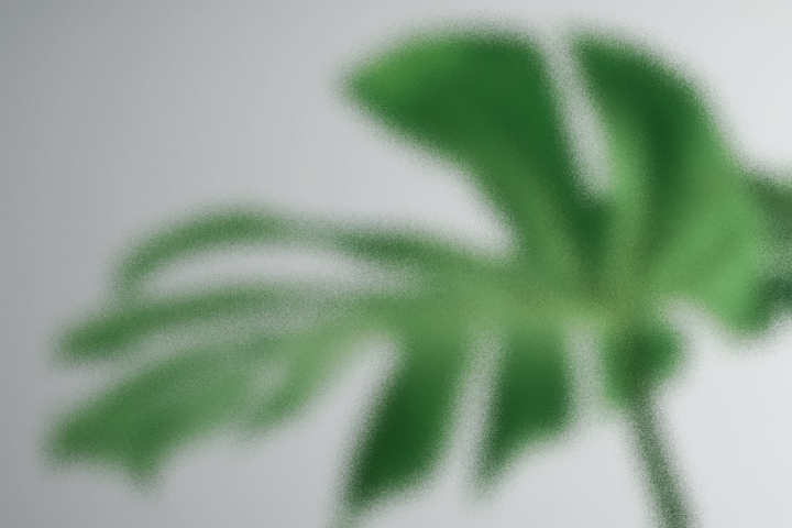 background,floral,green,botanical,leaf,plant,nature,natural,leaf background,monstera,green background,plant background,rawpixel