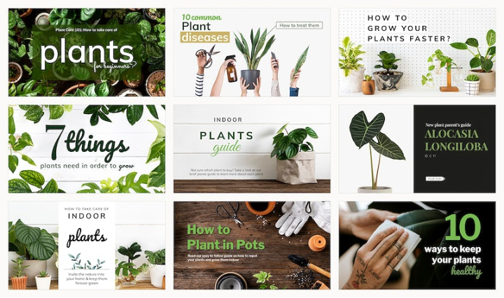 plant,indoor plants,pot,banner,facebook cover,new collection,how to guide,potted plant,plant lover,indoor decoration,hobby,cover,rawpixel