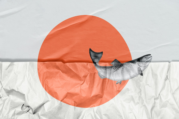 Japanese Paper Textured Background Stock Illustration - Download