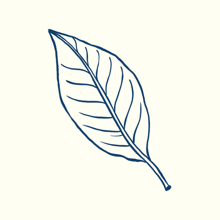sticker,leaf,blue,botanical,nature,illustration,vintage,collage element,minimal,line art,doodle,drawing,rawpixel