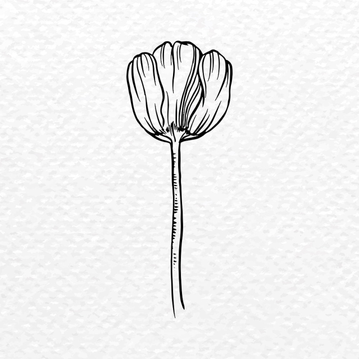 Free: Vintage tulip flower tattoo art, | Free Vector Illustration -  rawpixel 