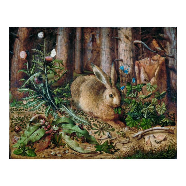 paintings public domain,vintage poster,art,16th century,a hare in the forest,aesthetic,animal,art print,beautiful,bloom,blossom,botanical,rawpixel