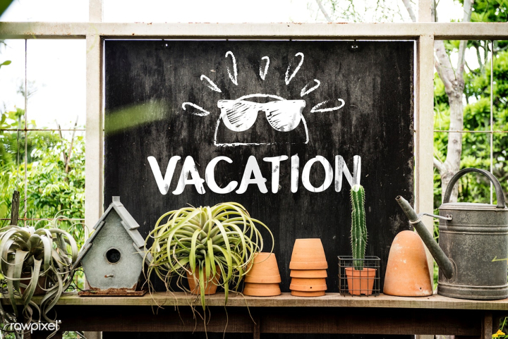 Beach theme decorations Stock Photo by Rawpixel