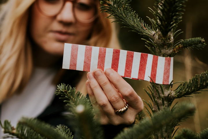 spectacles,20s,30s,alone,blond,business photos,caucasian,christmas,christmas holidays,christmas photos,christmas tree,christmas tree farm,rawpixel