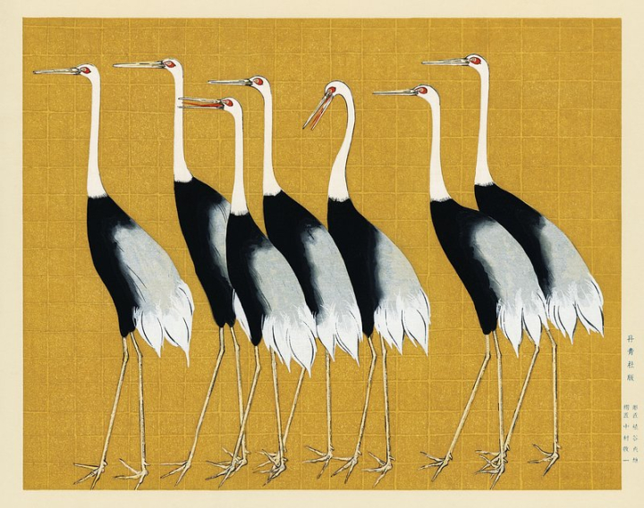 japanese cranes,ogata korin,bird,japanese art,japanese,painting,art,chinese,japanese crane,korin,yellow,japan,rawpixel