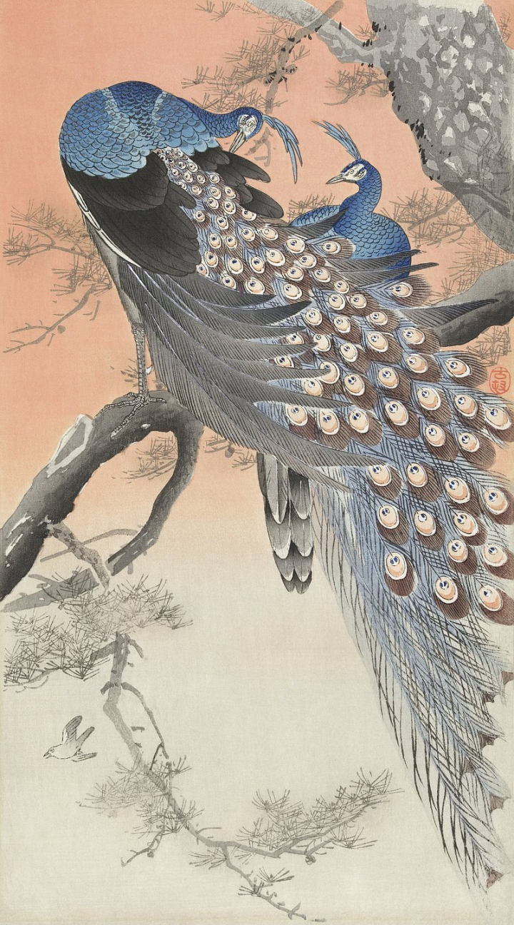 wallpaper,japanese art,ohara koson,japan,bird,japanese,painting,art,vintage,animal,public domain art,museum,rawpixel