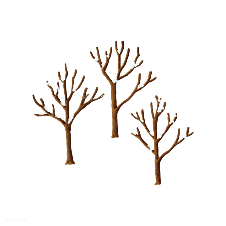 Bare tree winter design isolated on white Vector Image