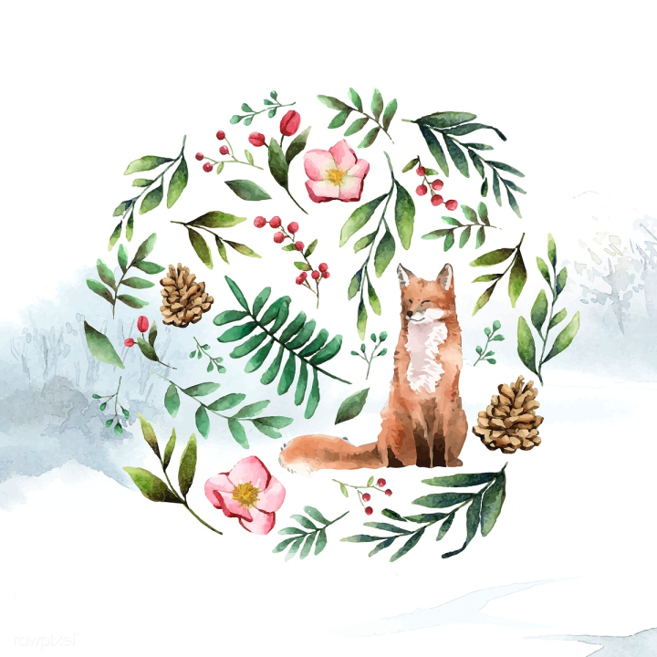flower,fox,animal,artwork,ash leaf,cartoon,cedar leaf,decorate,decoration,design,drawing,element,environment,eucalyptus,european ash,faux seeded eucalyptus,graphic,hand drawn,hellebore,helleborus,illustrated,illustration,mixed,olive branch,painted,painting,pine,pine cone,printed,round,seeded eucalyptus,silver dollar eucalyptus,silver dollar leaf,sketch,smilax,vector,watercolor,watercolor painting,watercolor technique,wildlife