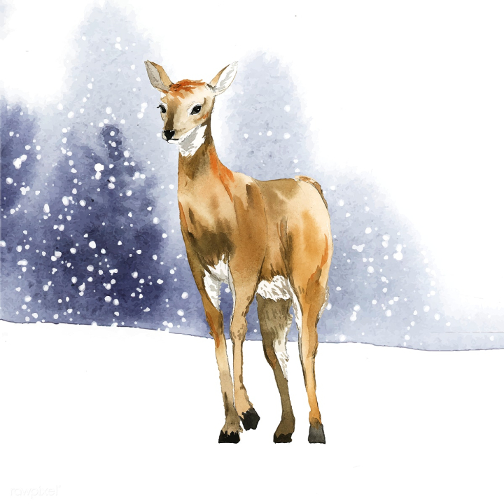 animal,art,artwork,cartoon,deer,design,doe,drawing,female,forest,garden,graphic,hand drawn,illustrated,illustration,natural,nature,outdoors,painted,painting,park,printed,sketch,snow,snowing,vector,watercolor,watercolor painting,watercolor technique,wild,wildlife,winter,woods