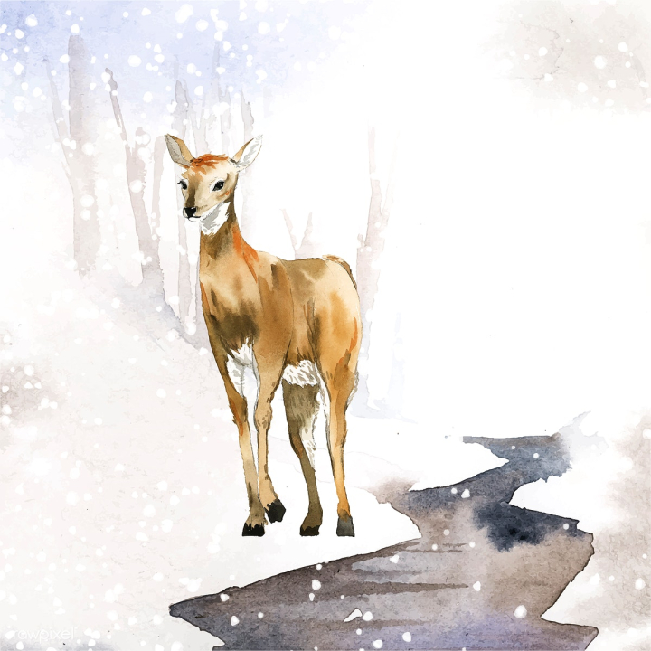 Premium Vector  Deer cartoon character set vector illustration on white  background wild animal