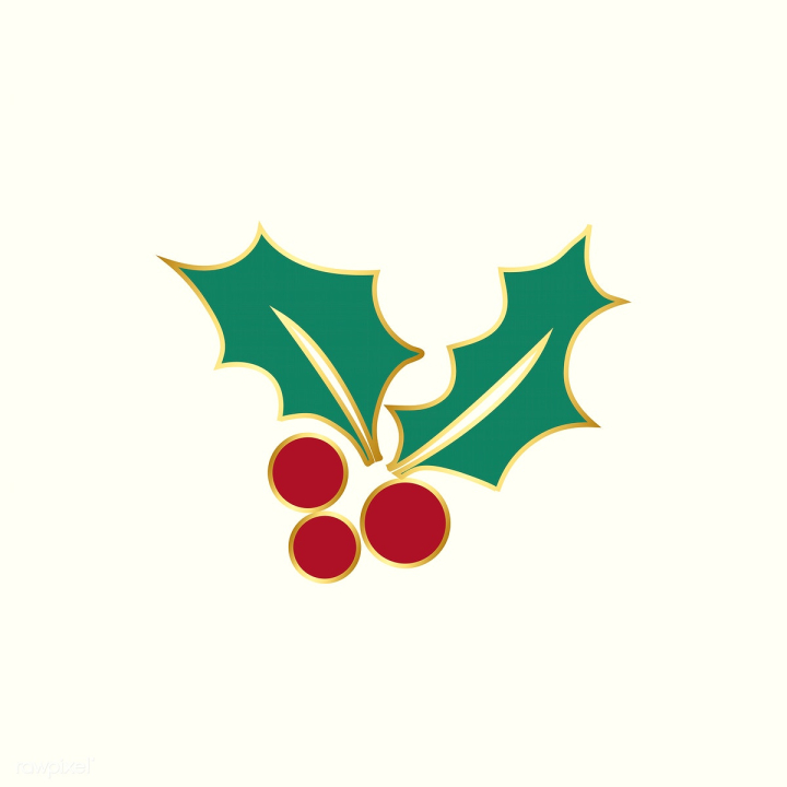 Christmas Holly Berry Clipart Vector, Christmas Holly Berry Leaves Design,  Holly Leaves Clipart, Christmas, Holly PNG Image For Free Download
