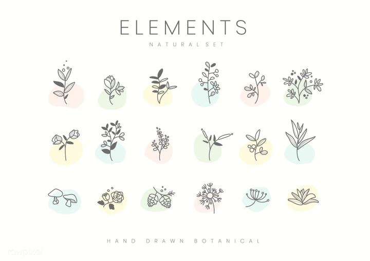 bloom,blue,botanical,botany,collection,design,element,flora,floral,flower,free,graphic,green,hand drawn,illustrated,illustration,leaves,mixed,mushroom,natural,nature,pastel,pink,plant,plants,set,simple,small,tiny,variety,various,vector,white,white background,yellow