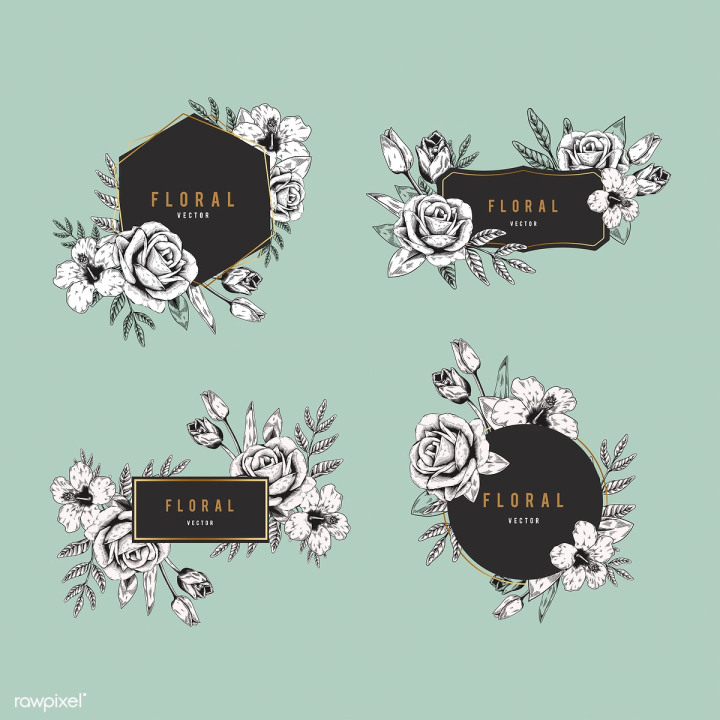 badge,banner,beautiful,black,blank,blossom,botanical,branch,brand,chinese rose,collection,copy space,creative,decoration,design,design space,drawing,elegant,emblem,flora,floral,flower,frame,free,glamorous,graphic,green,green background,hand drawn,hexagon,hibiscus,illustrated,label,leaf,logo,mint,mint green,mockup,nature,plant,rectangle,romantic,rose,set,shape,sketch,spring,sticker,template,tulip,vector,vintage,wedding,white