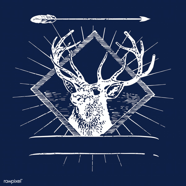 adventure,adventurous,animal,antlers,badge,banner,blank,blue,blue background,bull,camping,classic,copy space,copyspace,deer,design,design element,design space,emblem,empty,escape,forest,hunting,illustrated,illustration,journey,logo,male,mammal,navy blue,old,old school,retro,sticker,style,travel,vector,vintage,wandering,wanderlust,white,wild,wildlife,zoo