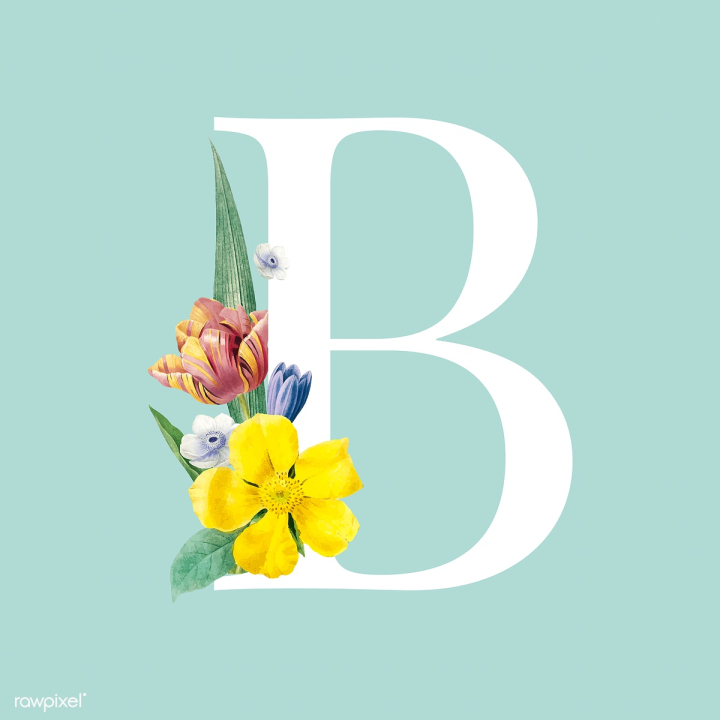 alphabet,anemone,b,beautiful,bloom,blooming,blossom,blossoming,botanical,botany,capital letter,character,decorated,decorated alphabet,decoration,decorative,design,flora letter,floral,floral alphabet,floral design,floral font,floral letter,flower,font,free,graphic,hypericum,illustrated,illustration,isolated,leaves,letter,lettering,letters,ornament,ornate,pistachio green background,plant,spring,style,summer,symbol,theme,tulip,typeface,typography,uppercase,vector