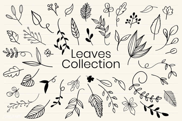artwork,beige background,black,cartoon,collection,cream,cute,decoration,decorative,design,doodle,drawing,element,evergreen,foliage,fresh,garden,graphic,hand drawn,icon,illustrated,illustration,isolated,leaf,leaves,line,line art,lined,mixed,natural,nature,notebook,pattern,plant,scribbled,set,shape,sketch,spring,summer,symbol,symbolic,tropical,various,vector