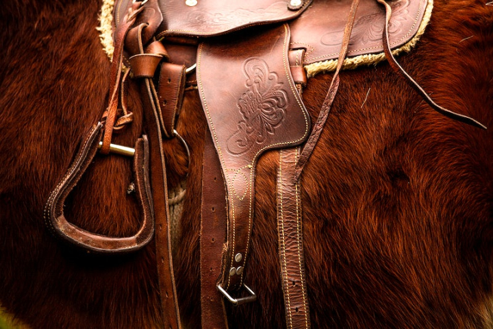 western,horse,horse saddle,horse images,saddle,horse backgrounds,horse equipment,western saddles,leather background,public domain horse saddle,fat background,leather,rawpixel