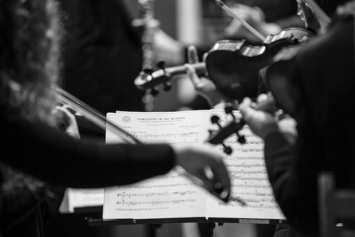 orchestra,violin,black,concert,musical instrument,symphony,music,musician,orchestra concert,public domain music,music plays,black and white violin,rawpixel
