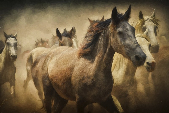 horse,painting,art,public domain art,paintings public domain,horse painting,horse running,horses public domain,wild horses,art image,animal painting,digital art,rawpixel