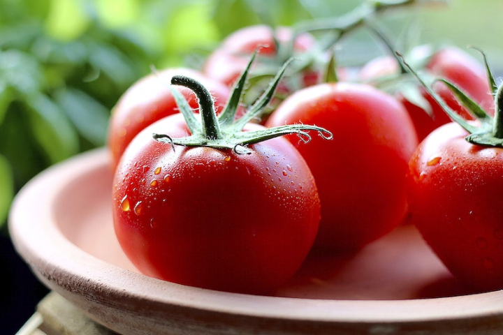 tomato,tomato plant,vegetable,agriculture,tomatoes,food,produce,plant vegetable,healthy vegetable,healthy food,healthy,public domain vegetables,rawpixel