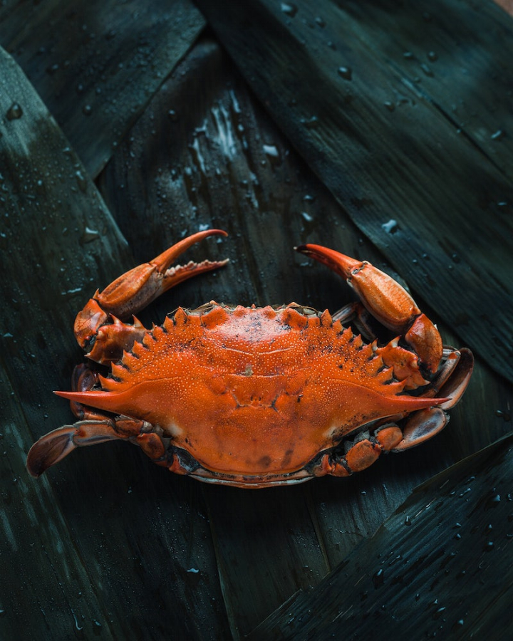 crab,seafood,soft shell crab,crab food,food,seafood photo,public domain,cc0,free domain,orang crab,rawpixel
