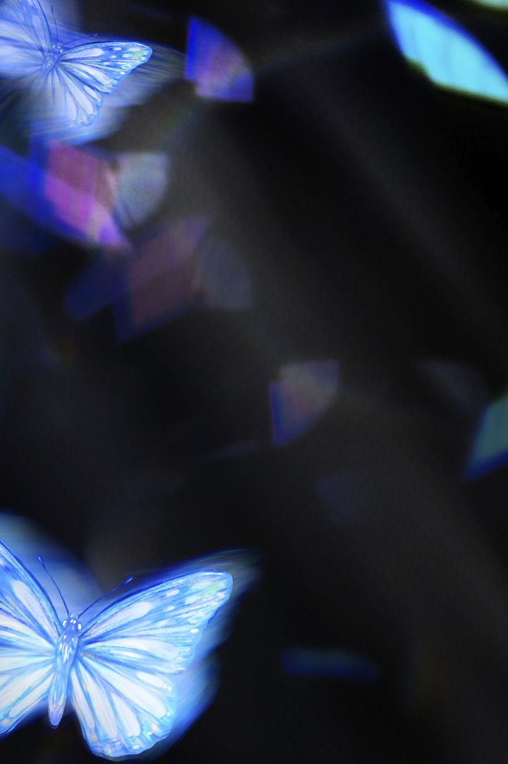 Free: Black background, blue butterfly, aesthetic | Free Photo - rawpixel -  