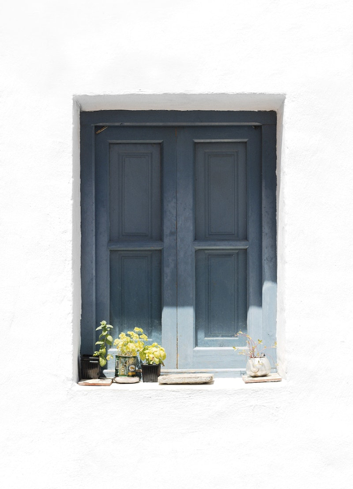 window,flower,door,wooden windows,window exterior,white door,public domain spring,flower doors,spring home,home,window wall,flowers exterior,rawpixel