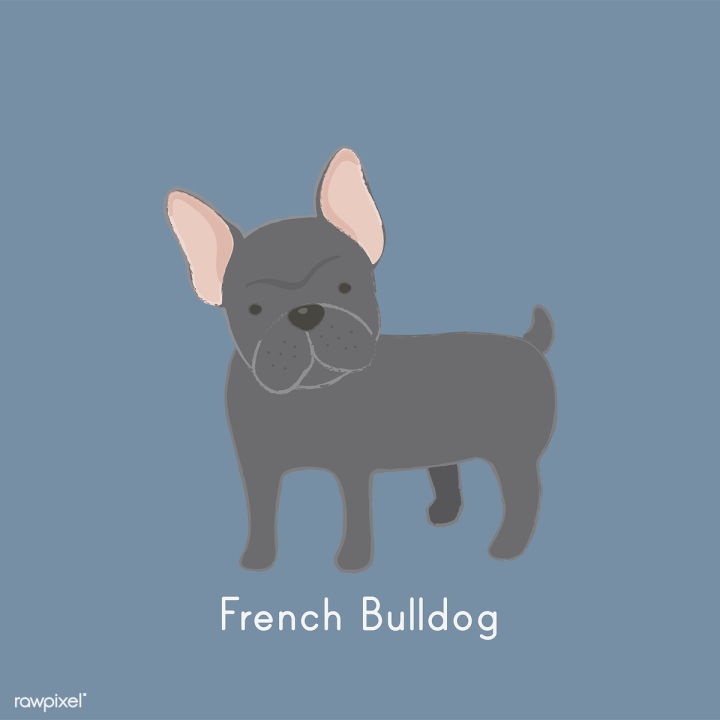 Free: Cute illustration of a french bulldog | Free stock vector - 60478 ...