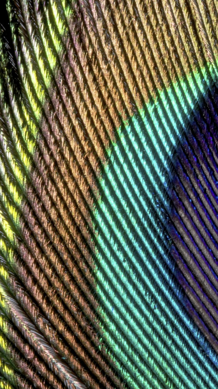 Free: Peacock feather texture mobile wallpaper, | Free Photo - rawpixel -  