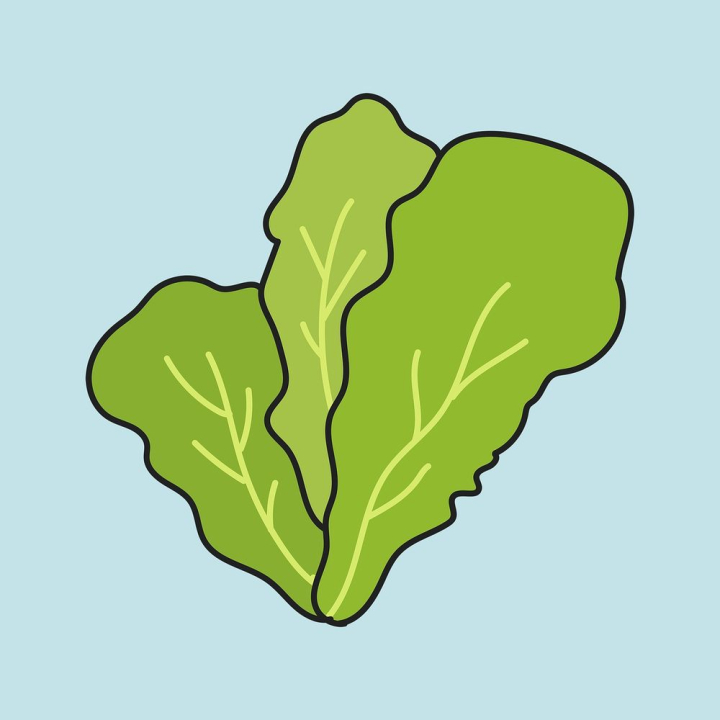 Lettuce sticker, vegetable creative doodle | Free PSD Illustration ...