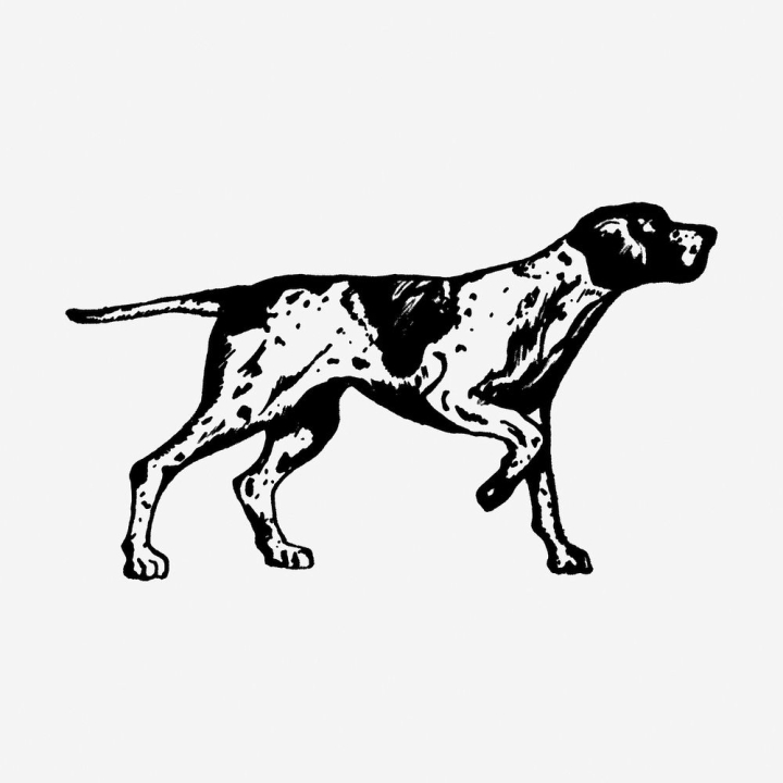 vintage,public domain,art,vintage illustrations,dog,cute,free,black and white,animals,drawing,ink,pet,rawpixel