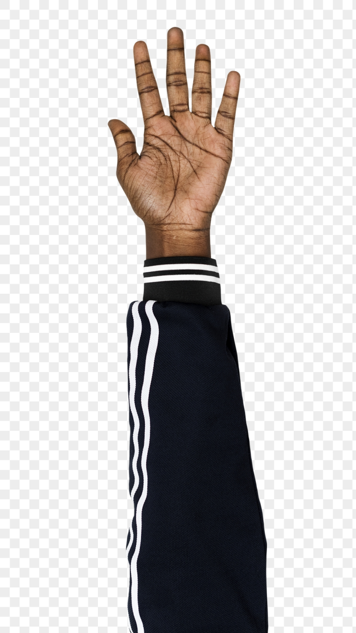 Hand, Hand Png, Five Fingers Png, Hand With Transparent Background