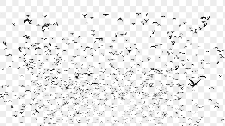 bird png,rawpixel,png,public domain,black,bird,free,animal png,black and white,animal,ink,graphic,design
