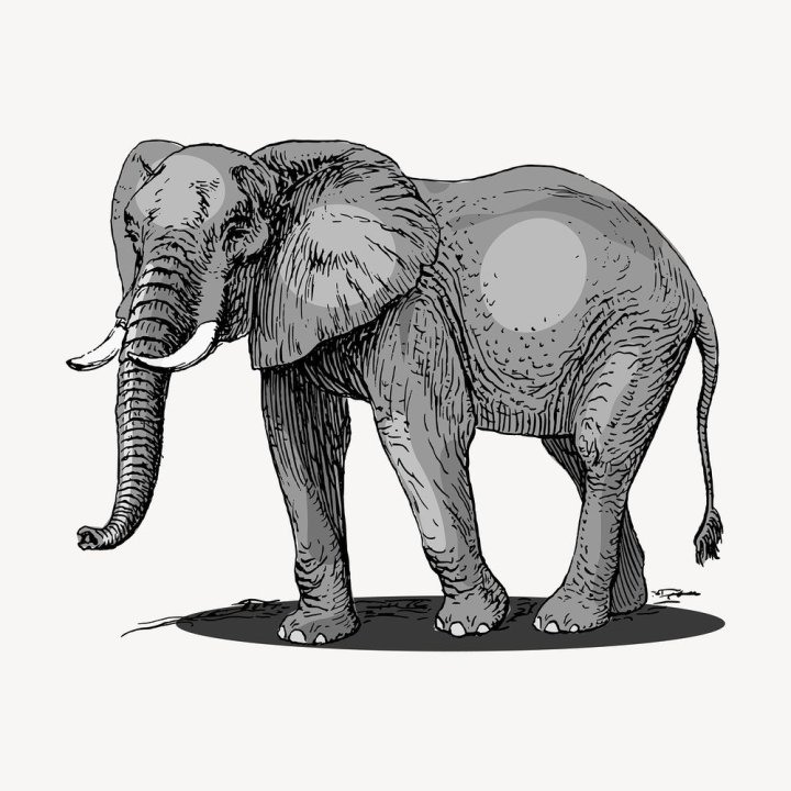 elephants stock clipart images