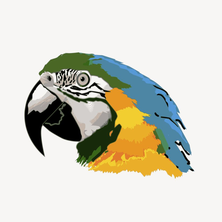 face,public domain,blue,green,illustrations,bird,feather,yellow,free,animal,colours,graphic,rawpixel