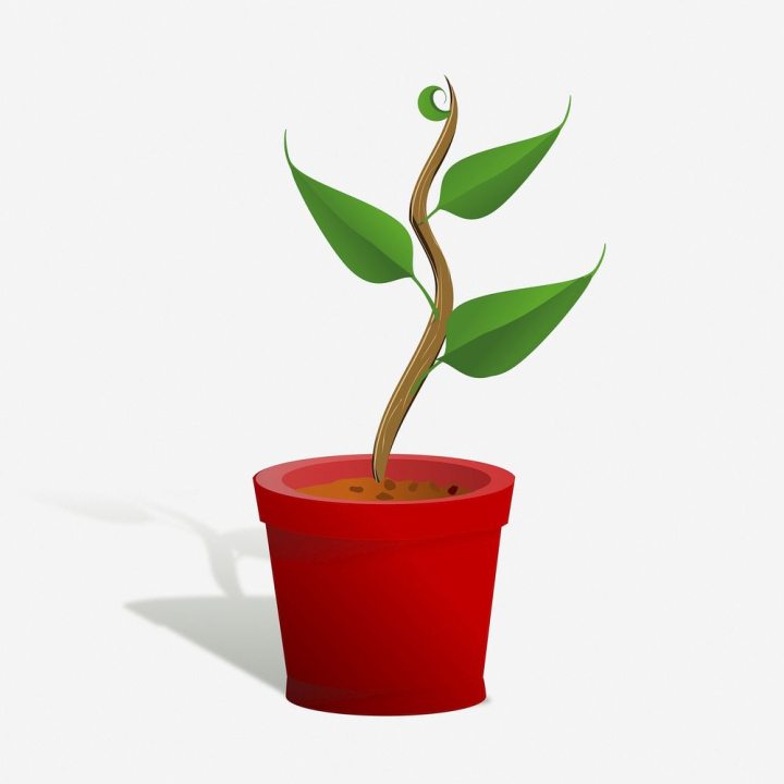 free clipart potted plants