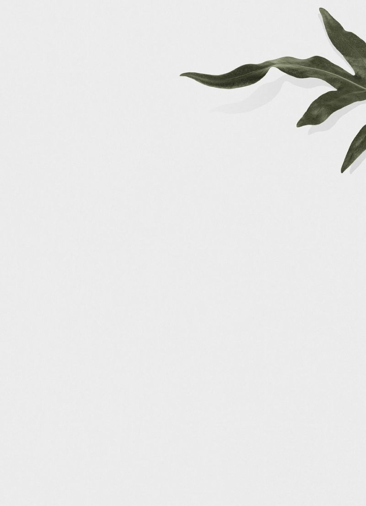 Free: Leaf border background, white design | Free Photo - rawpixel -  